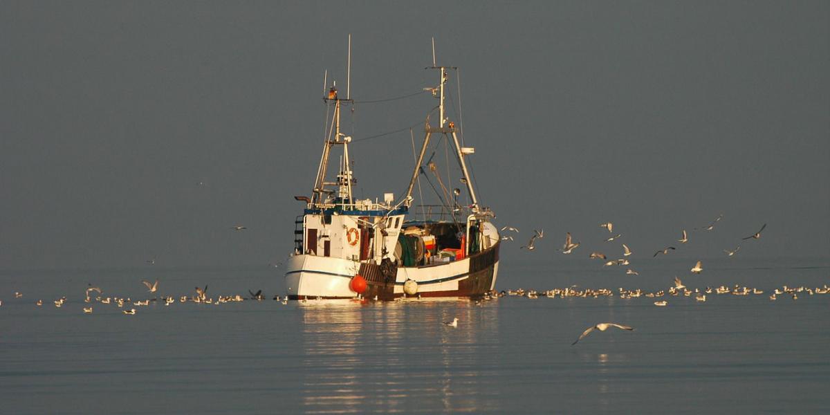 Barco de pesca