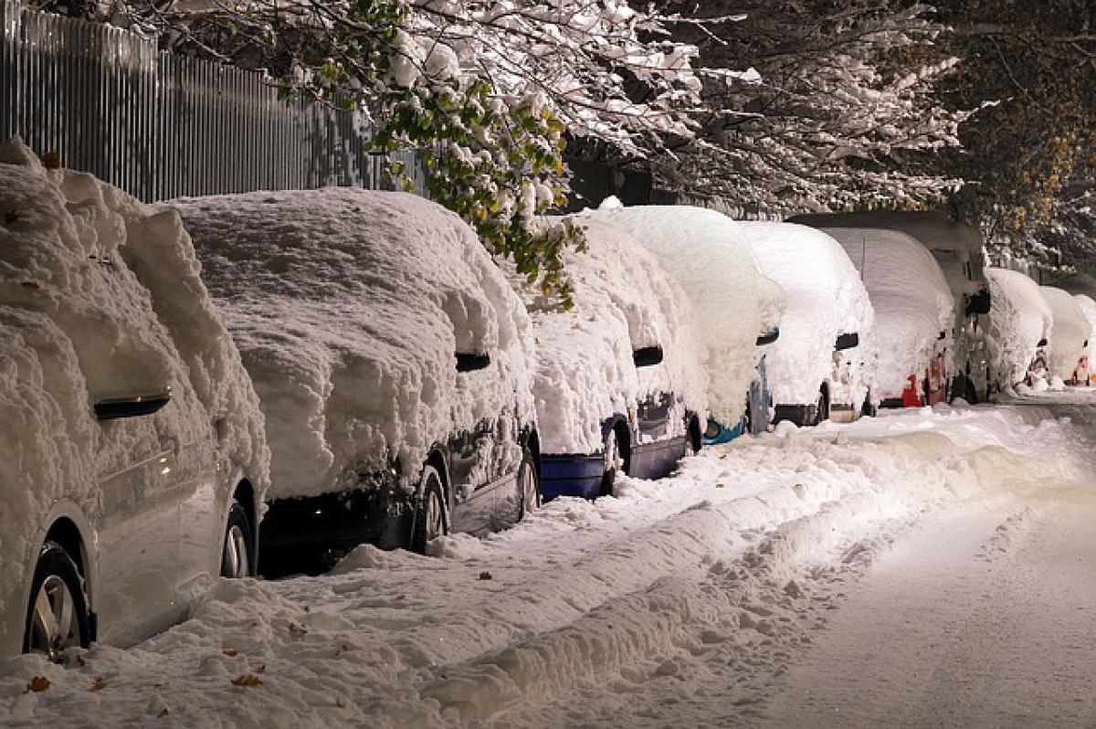 Coches cubiertos de nieve