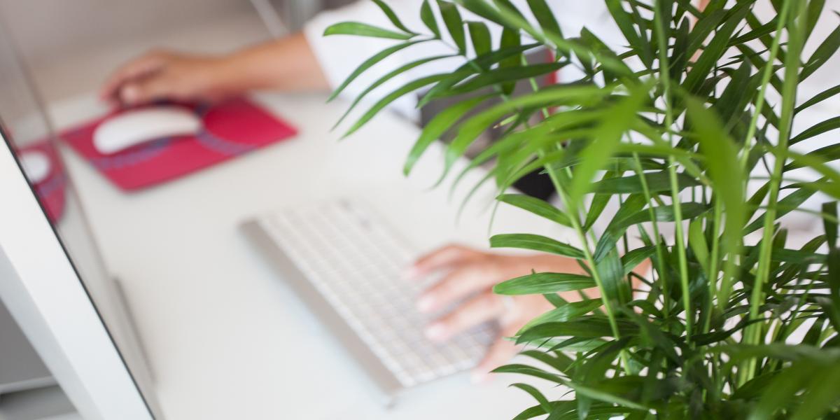 Teletrabajo, estudios, formacin y empleo