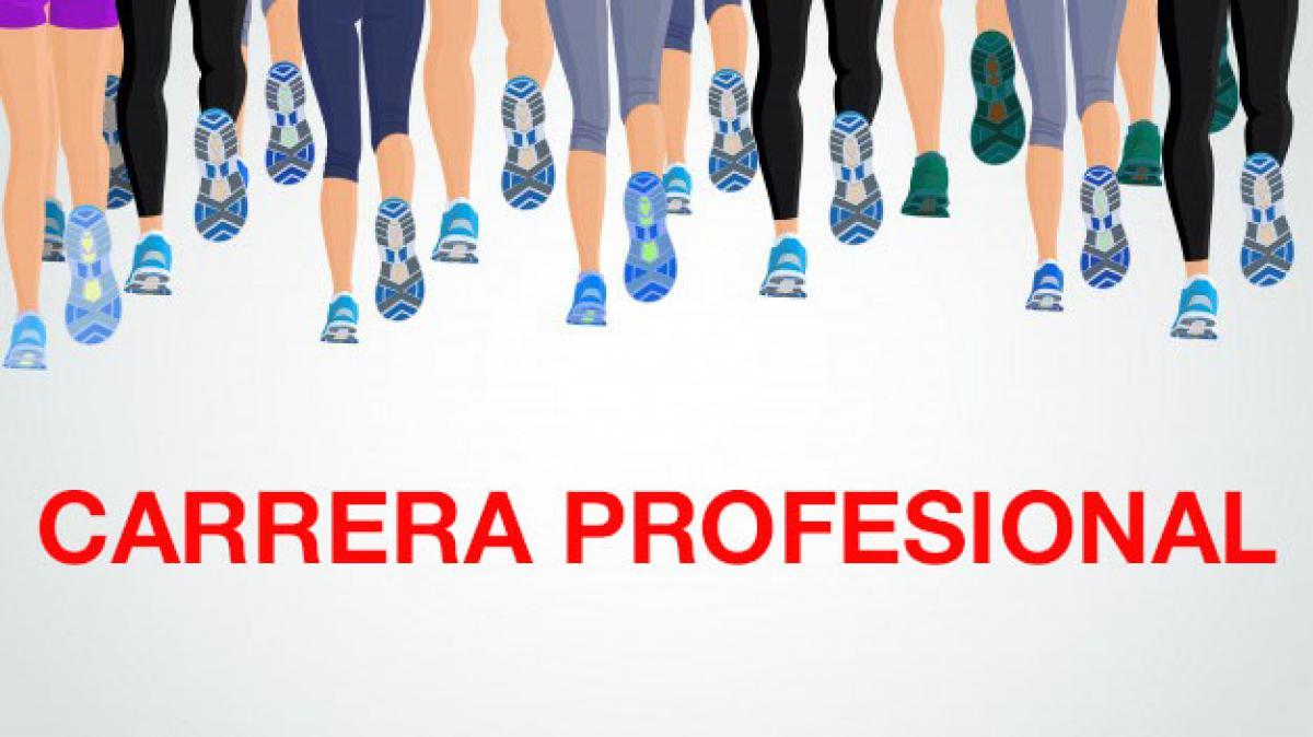 carrera profesional