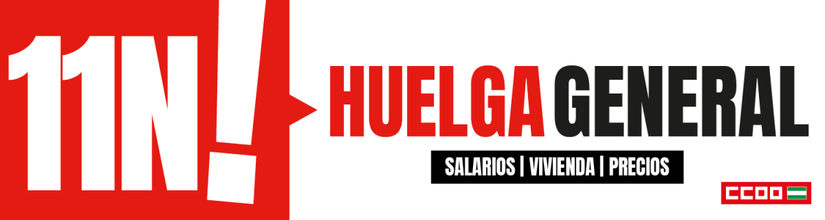 11N HUELGA GENERAL 2026