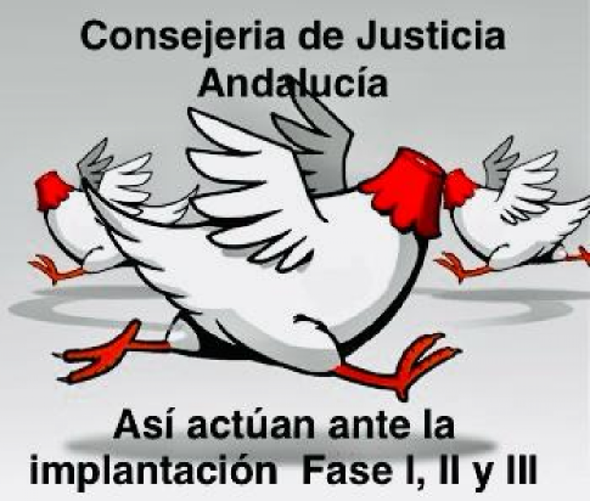 Así actúan ante la implantación Fase I, II y III