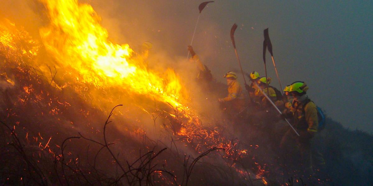 Bomberos forestales
