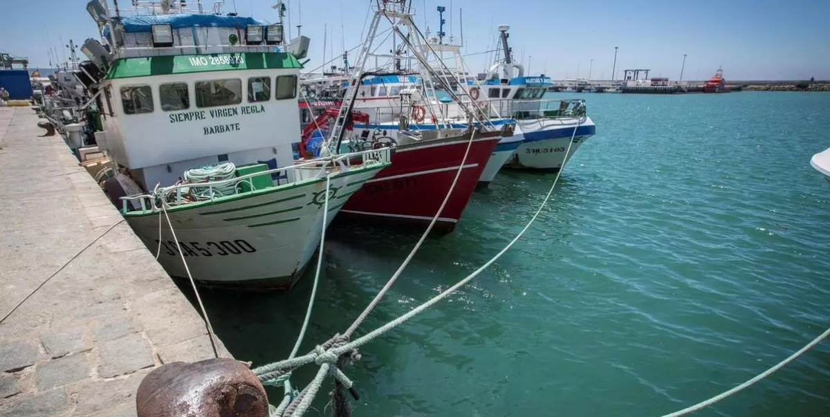 Pesqueros atracados en el puerto de Barbate. Fuente: diariodecadiz.es