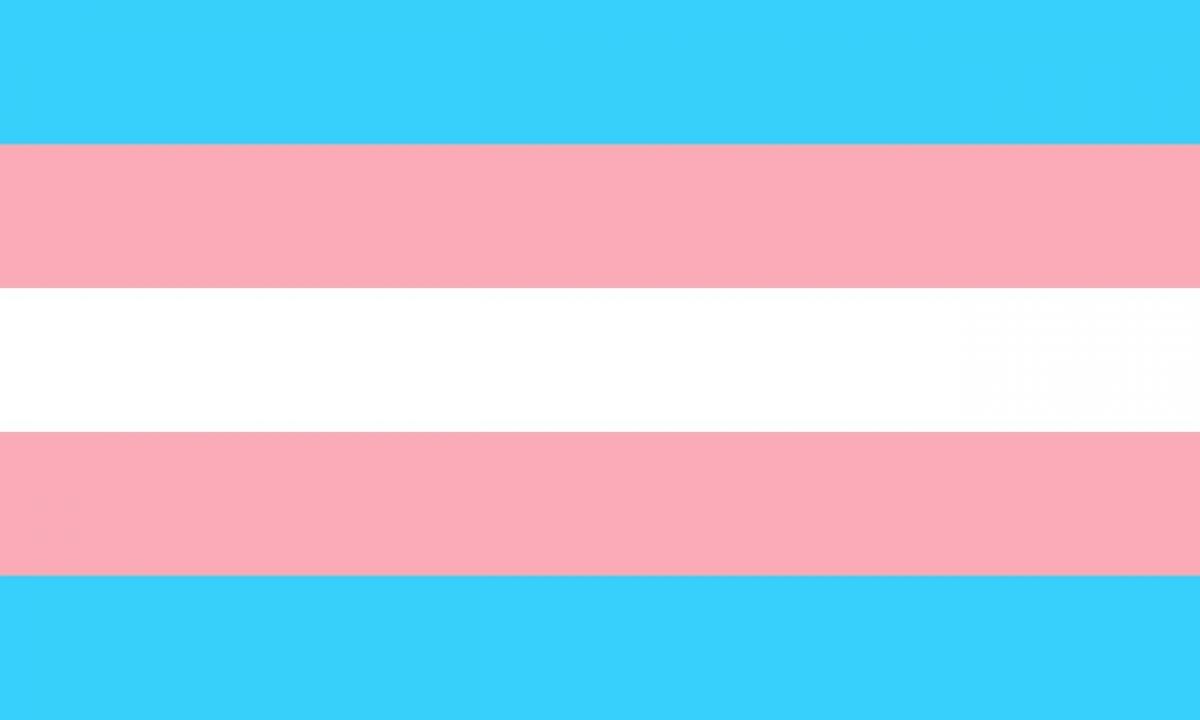 31 de marzo, Día Internacional de la Visibilidad Trans.