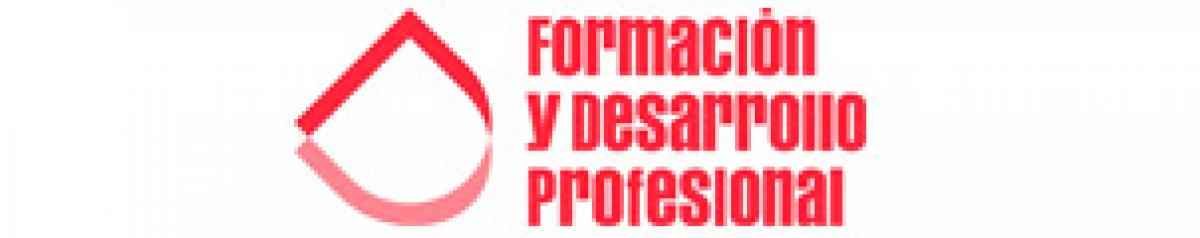 Formacin y desarrollo profesional